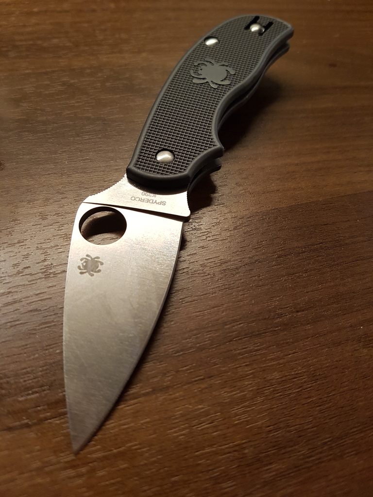 20170227_003137_zpscvv2wsax