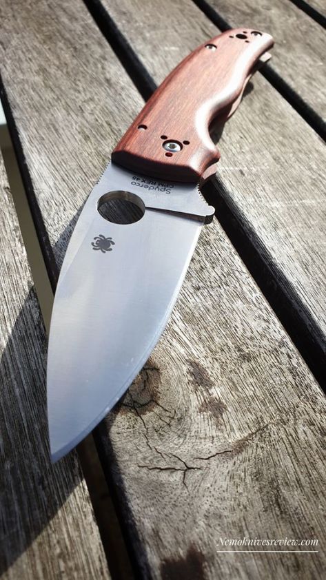 85142638_10157390919865958_2678762714444070912_o